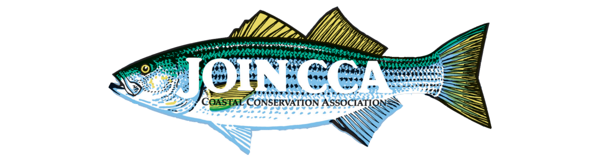 Join CCA – Coastal Conservation Association Georgia